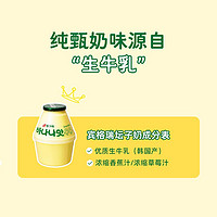 Binggrae 宾格瑞 香蕉牛奶冷藏坛子奶韩国进口早餐奶儿童饮料 哈密瓜