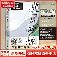 强风吹拂小说 三浦紫苑电影同名小说 青春的爱百元之恋励志校园日本文学