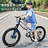 萌大圣 MB12儿童自行车 20寸 多色可选