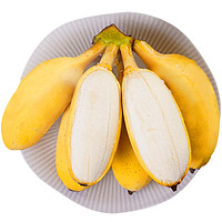 文枝 正宗广西小米蕉新鲜水果当季现摘生鲜小香蕉 带箱5斤 4.5斤
