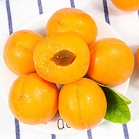 陕西大黄杏子5斤装大果当季太阳杏酸甜杏现摘现发好酸口强推淘客