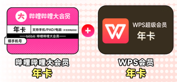 哔哩哔哩文娱会员服务_bilibili 哔哩哔哩 大会员年卡+WPS超级会员年卡多少钱-什么值得买