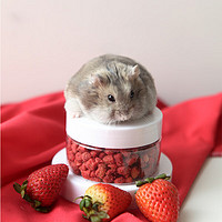 BUCATSTATE 布卡星 仓鼠冻干草莓15g碎小零食水果营养粮食金丝熊龙猫豚鼠兔子用品