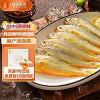 1号会员店冷冻东海海捕小黄鱼 1kg(500g*2袋) 30-36条 生鲜鱼类 海鲜水产