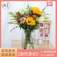 悦多彩 AB级生活鲜花 昆明基地 现采直发 玫瑰百合指定款花束单次体验款 自然混合1次体验款