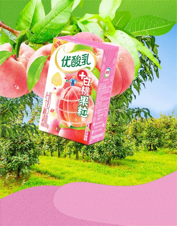 伊利低脂牛奶_yili 伊利 优酸乳白桃果粒250g*16盒/整箱多少钱-什么
