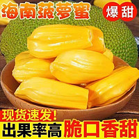 雪束 海南黄肉菠萝蜜  精选35-40斤（1个果）