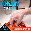 88VIP：PAKCHOICE 一次性手套食品级餐饮塑料薄膜透明厨房家专用加厚盒装抽取式pvc