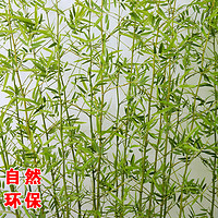 香茗源 仿真竹子室内装饰假竹子隔断屏风挡墙造景室外装饰竹盆栽绿植景观