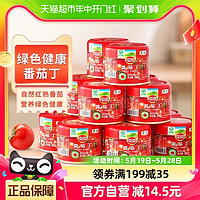 88VIP：屯河 调味酱番茄丁12罐*200g礼盒内蒙新疆0添加剂去皮番茄罐头