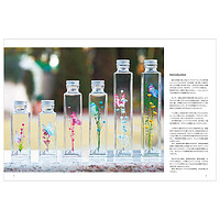 Herbarium 美丽浮游花设计作品实例集 玻璃瓶干燥花标本 创意装饰 日文原版