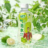 Hidolly 百多利 小青柠气泡水 300ml*8瓶