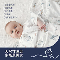 DOMIAMIA BB21 婴儿纱布襁抱巾 2件装