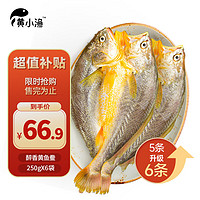 黄小渔 醇香黄鱼鲞250g*6条（净重1.5kg）大黄花鱼生鲜水产鱼类源头直发