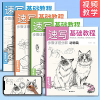 2022新书 经典全集 4册速写基础教程入门临摹教材植物动物风景人物速写画画初学者自学零基础教程书