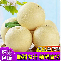 美得乐 河北皇冠梨 5斤（单果200g）