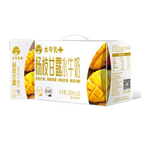 BONUS 百菲酪 每日黑谷杨枝甘露水牛奶 200ml*10盒