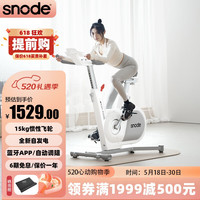 斯诺德（SiNuoDe）自发电动感单车家用智能调阻室内车静音磁控运动锻炼器材 自发电-全新实景课程-烤漆白