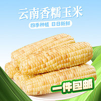京百味 云南香糯小玉米 2kg