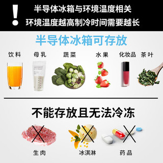 SAST车载冰箱22L迷你小冰箱车家两用mini美妆母乳冷藏宿舍单人用