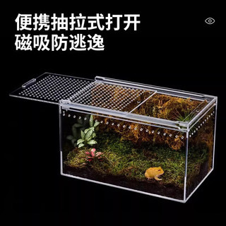 BARBAROUS GROWTH爬宠亚克力饲养盒爬虫守宫寄居蟹箱蜥蜴蛇角蛙蜘蛛蜗牛甲虫生态缸 大号饲养箱30*20*15