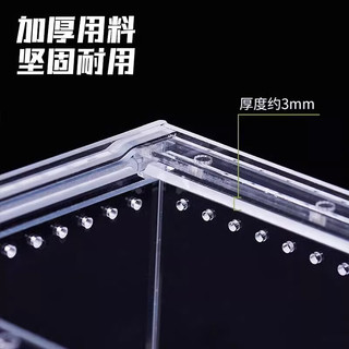 BARBAROUS GROWTH爬宠亚克力饲养盒爬虫守宫寄居蟹箱蜥蜴蛇角蛙蜘蛛蜗牛甲虫生态缸 大号饲养箱30*20*15