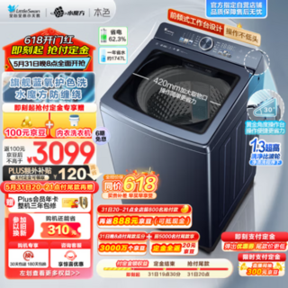 波轮洗衣机全自动 1.3高洗净比10公斤