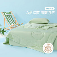百丽丝空调被子夏季夏凉被芯 可水洗双人抗菌夏被薄被子 夏日椰椰【A类可水洗|绿色】 200cm×230cm