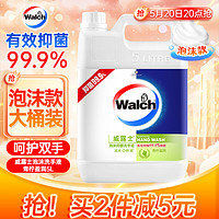 Walch 威露士 泡沫抑菌洗手液 青柠盈润 5L