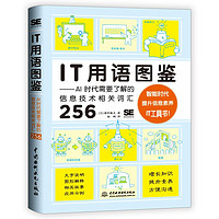 IT用语图鉴it用语AI时代需要了解的信息技术相关词汇256  chatgpt聊天机器人人工智能时代it计算机科普图书