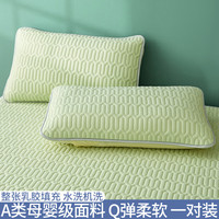 南极人（NanJiren）乳胶枕头套一对装夏季凉感冰丝枕套48cmx74cm单个大号枕芯内胆套 乳胶枕套-丁香绿【一对装】