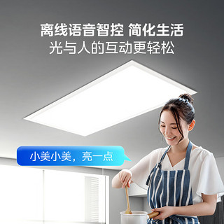 美的（Midea）厨房灯led集成吊顶厨卫灯吸顶灯离线语音厨房浴室卫生间平板灯 声控款 24瓦*2
