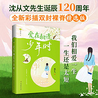 沈从文散文精选：爱在相逢少年时（沈从文先生诞辰120周年 全新彩插双封裸脊 精选版） 沈从文：爱在相逢少年时