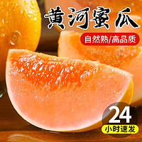 钱小二 陕西 黄河蜜瓜 9斤（3-5个）