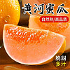 莫小仙 正宗新鲜头茬黄河蜜瓜 9斤装3-5个瓜