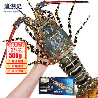 YUYOUJI）印尼小青龙虾500g/2只 超大龙虾 花龙海鲜水产冷冻大虾生鲜 虾类