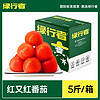 GREER 绿行者 红又红番茄品牌果5斤装新鲜蔬菜西红柿子酸甜孕妇水果