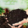 HUAYUPAI 华煜 种菜种花营养土通用型多肉绿萝花泥土兰花土有机肥料种植土1斤