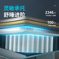 SIMBA Hybrid Plus 2 乳胶双层弹簧床垫