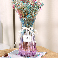 盛世泰堡 玻璃花瓶插花瓶干花满天星仿真花容器客厅装饰摆件 蓝紫渐变22cm