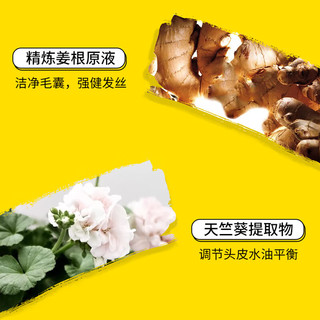 滋源 植炫姜强韧控油洗发水 535ml