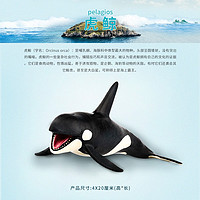 移动端：wanmole 玩模乐 仿真动物模型 仿真海洋动物模型 北极熊海龟企鹅蓝鲸抹香鲸玩具 虎鲸