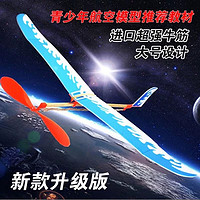 wan kong 玩控 雷鸟橡皮筋动力飞机航模拼装diy手工制作飞机模型可飞泡沫滑翔机 新款雷翼（颜色随机）