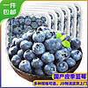 京丰味 蓝莓 新鲜时令国产蓝莓水果 125g/盒 精选大果 果径约15-18mm 4盒