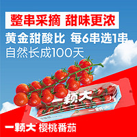 88VIP：一颗大樱桃串番茄水果小西红柿198g*4盒