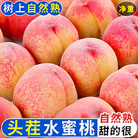 百亿补贴：御品一园 水蜜桃毛桃大桃子9斤新鲜水果当季应季脆甜密桃批发