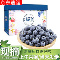 共雅 特大果  蓝莓125g*3盒   单果17-21mm