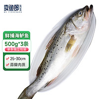 移动端：卖鱼郎先生 国产冷冻白蕉海鲈鱼1500g/3条装 生鲜 鱼类 海鲜水产