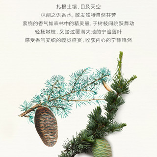 L’ARTISAN PARFUMEUR 阿蒂仙之香 林间之语中性浓香水 EDP 100ml