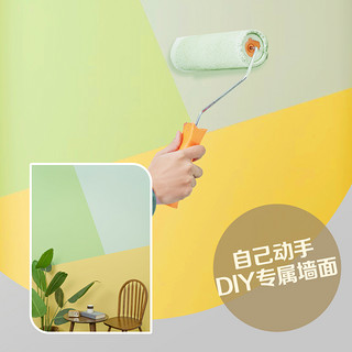 Dulux 多乐士 DIY限定分色空间涂刷套装